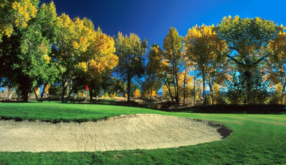 Carson Valley Inn Image 12